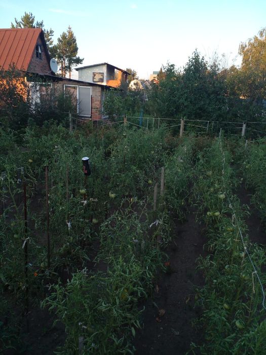 Продаю дачу 6 соток
