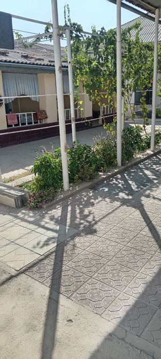 Oрта чирчикда 10- сотик 8-xona