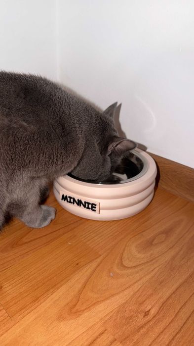 Castron personalizat cu numele animalului tău - livrare in maxim 24h