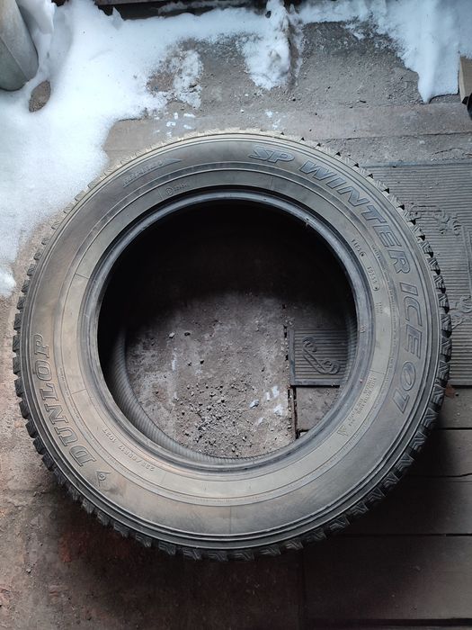 Нокиан, Данлоп зимняя