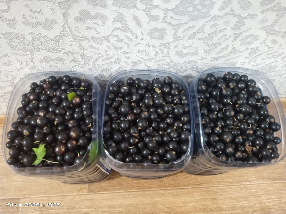 Продам дачу, сад Берёзка