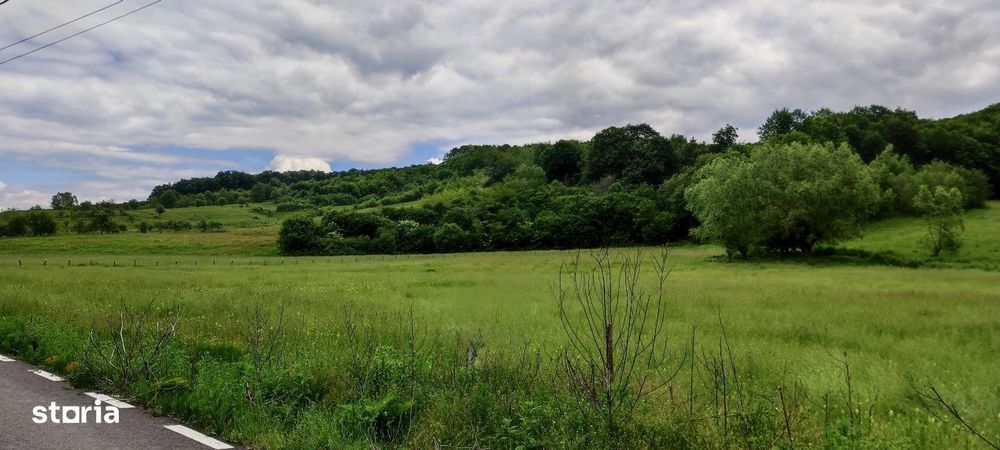 Teren larg 2 ha, la padure, panoramic dealuri si rau, cu curent, DJ