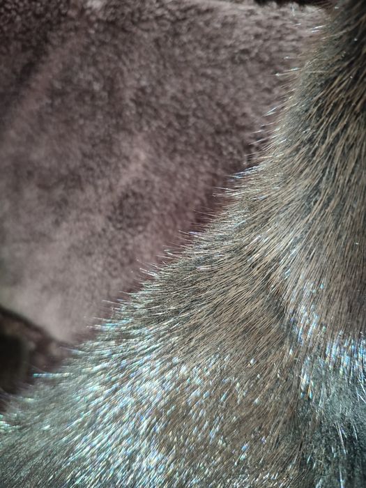 Продам Дублёнку состояние отличное