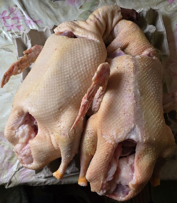 Продам мясо утки