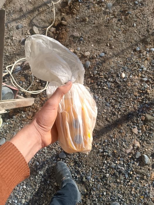 Куруллиш учун либйотка сотилади