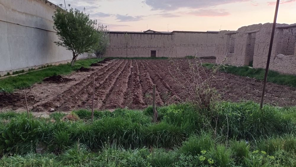 Yer sotiladi 6 sotix