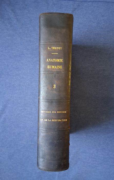 Антикварна Френска Книга по Медицина Човешката Анатомия 3 Том / 1930 год.