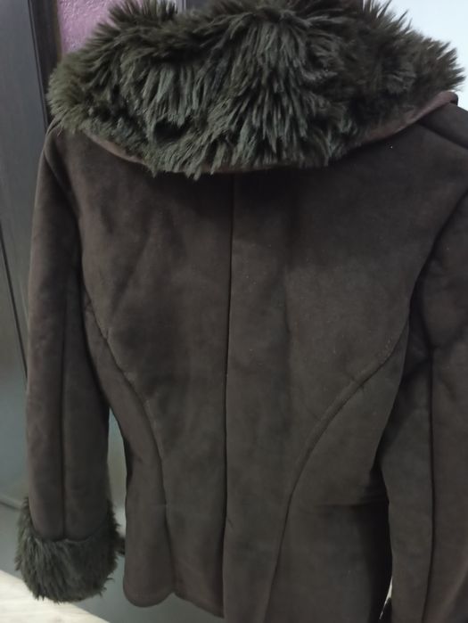 Cojocel/jacheta neagra