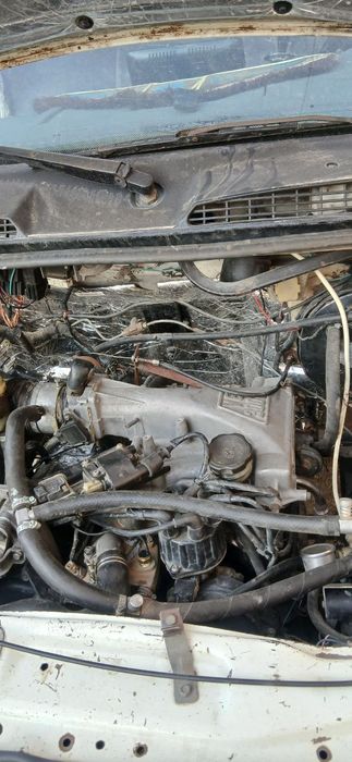 Stareks mator  xolati yaxshi