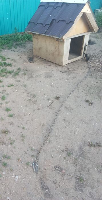 Будка для Собаки