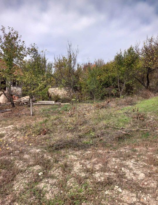 Продава се Парцел в с. Шипочано, Област Кюстендил - 969 кв.м за 19 €/кв.м - Снимка #2