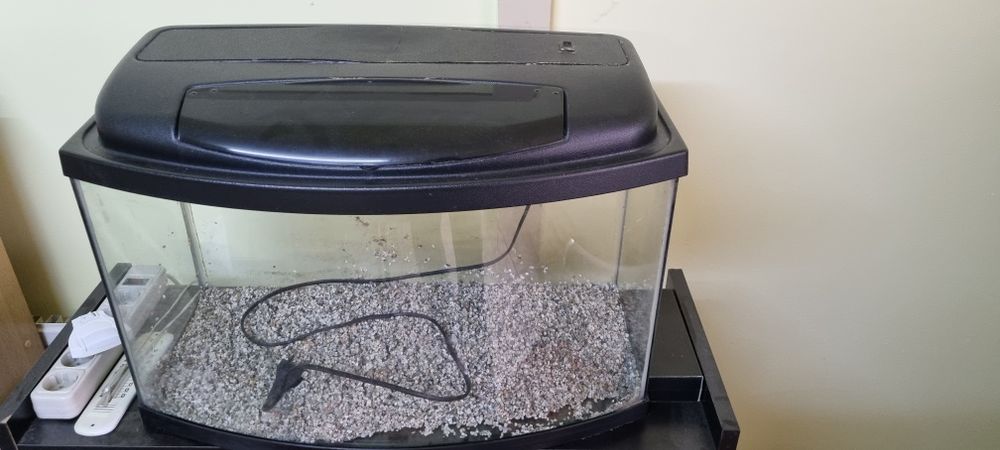 Acvariu pentru pești