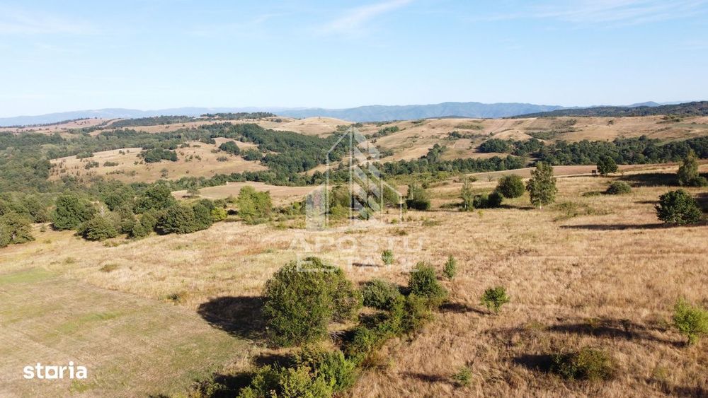 Teren de 50.000mp, priveliste panoramica spre munte si lac, Hunedoara