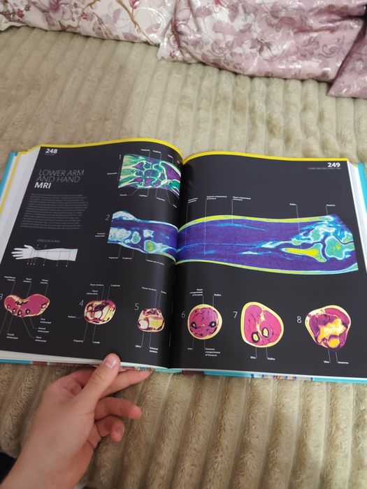 Atlasuri de anatomie
