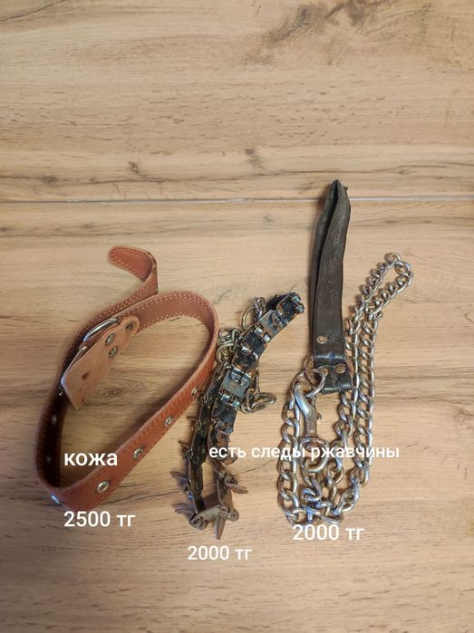 Ошейник,поводок,намордник