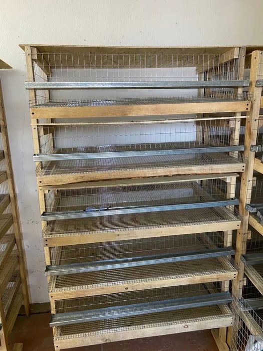 Бөдене перепела