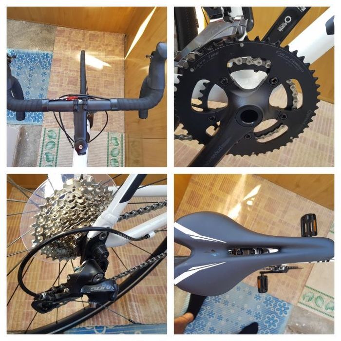 Cursiera Supersport Specialized