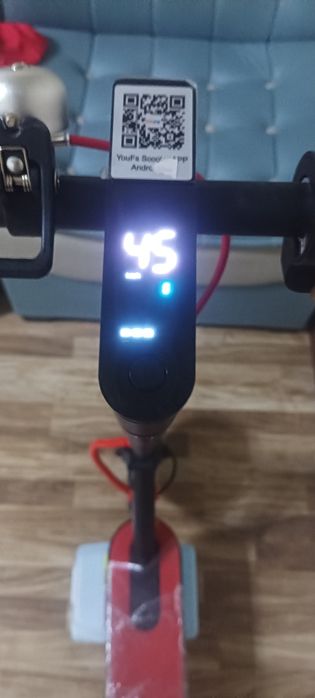 Yangi samakat va arzon
