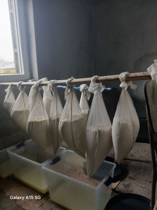 Vând  branza vaca  cantități mici și mari