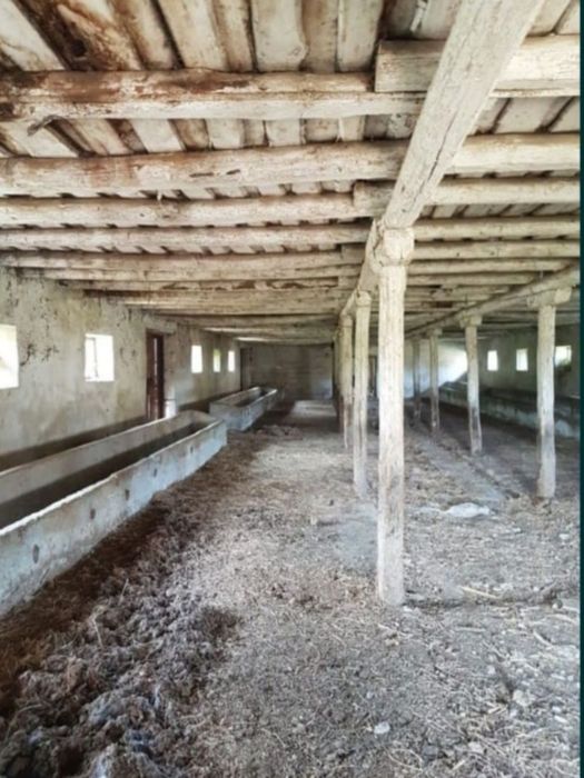 Grajd/Hală Banpotoc lângă Grădinile lui Zoe 53000euro