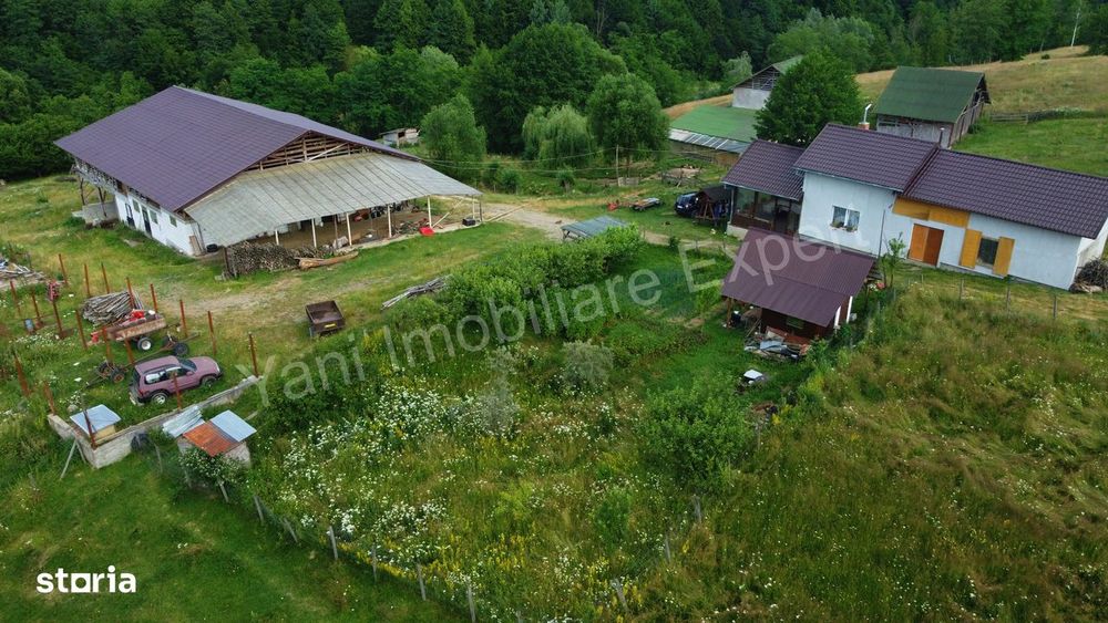 Fermă de animale + teren de vânzare în comuna Bughea de Jos, Argeș.
