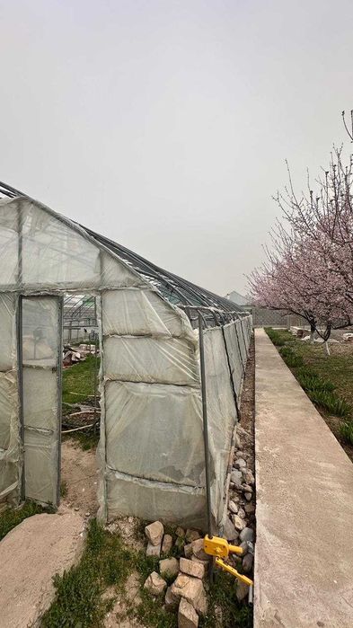 Теплица в отличном состоянии