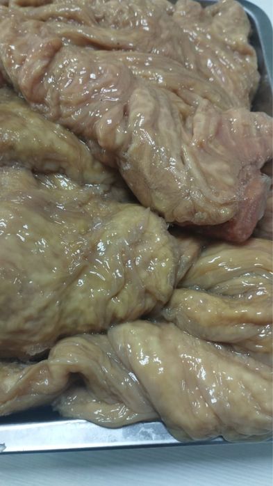 Продам карын конина свежий,