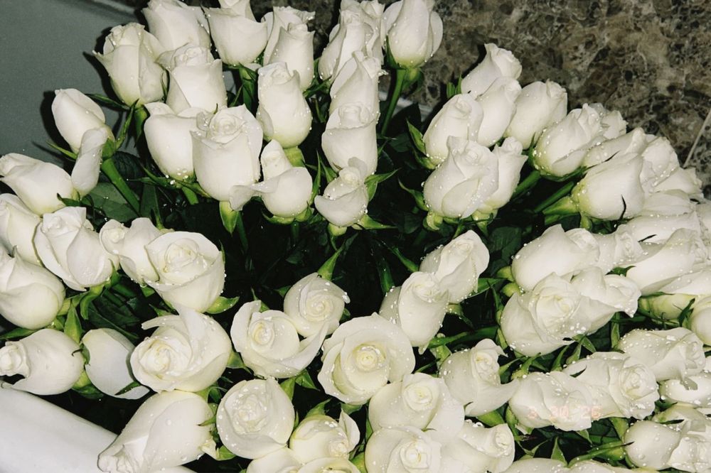 Срочно! 101 ақ роза