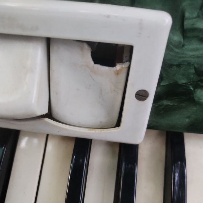 Acordeon Timiș...