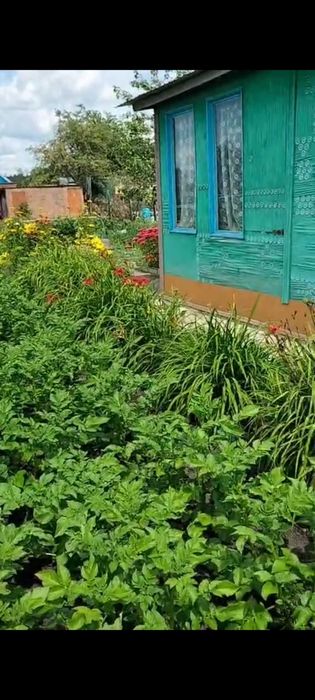 Продам дачу ПК СТ Борки