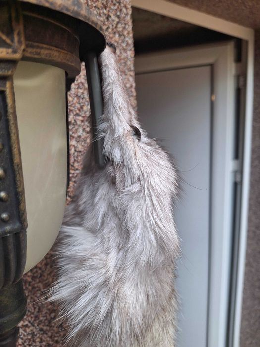 Шал от бяла лисица 120 см