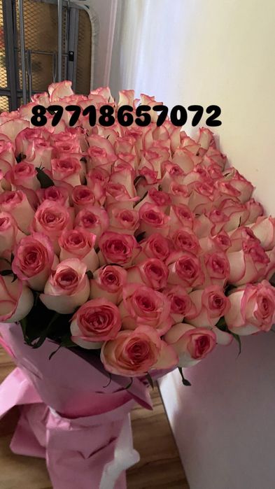 101роза голландские