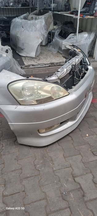 Ноускат для Ипсум