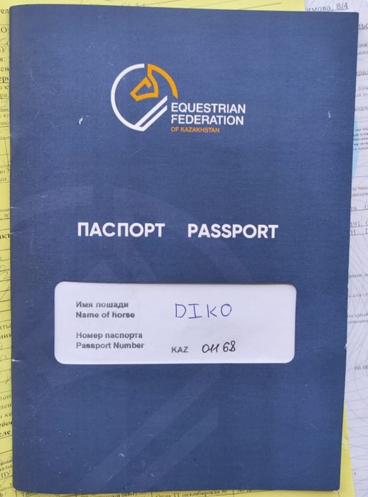 Мерин полукровный