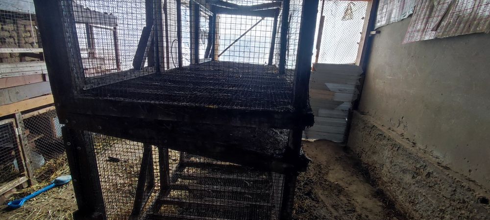 Товук куйон жужалар учун катак