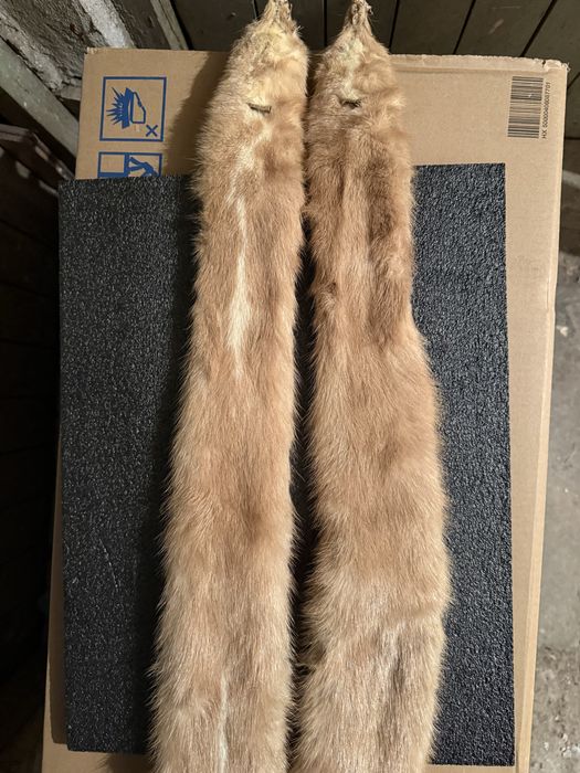 Продавам препарирана невестулка