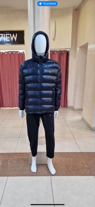 Зимняя курька Lacoste