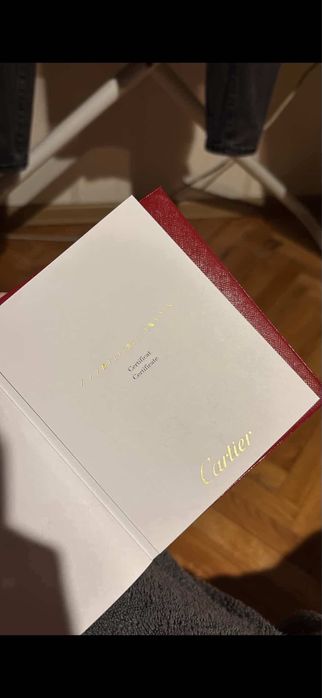 Cartier Santos Galbee