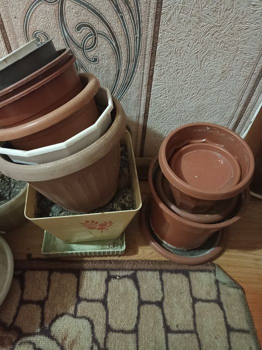 Горшки для  цветов