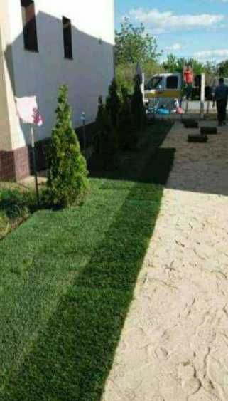 Gazon rulou Insamantare si sisteme de irigatii