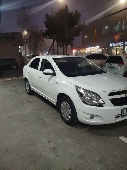 Koblt 2019 yil 2 pazitsa