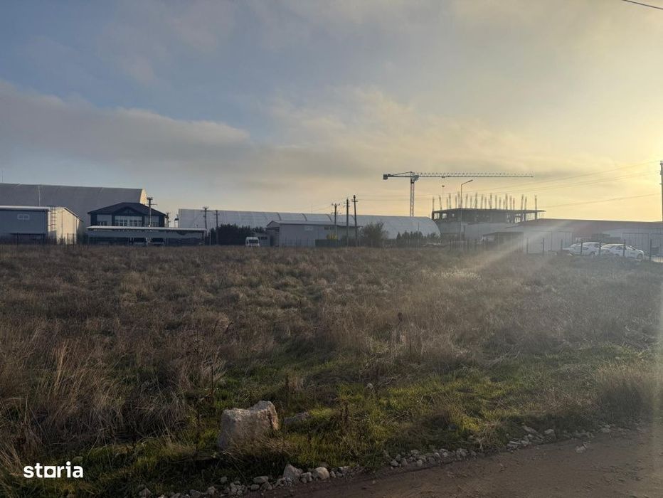 Teren intravilan , 3000 mp , deschidere 78 m, zona Carcea