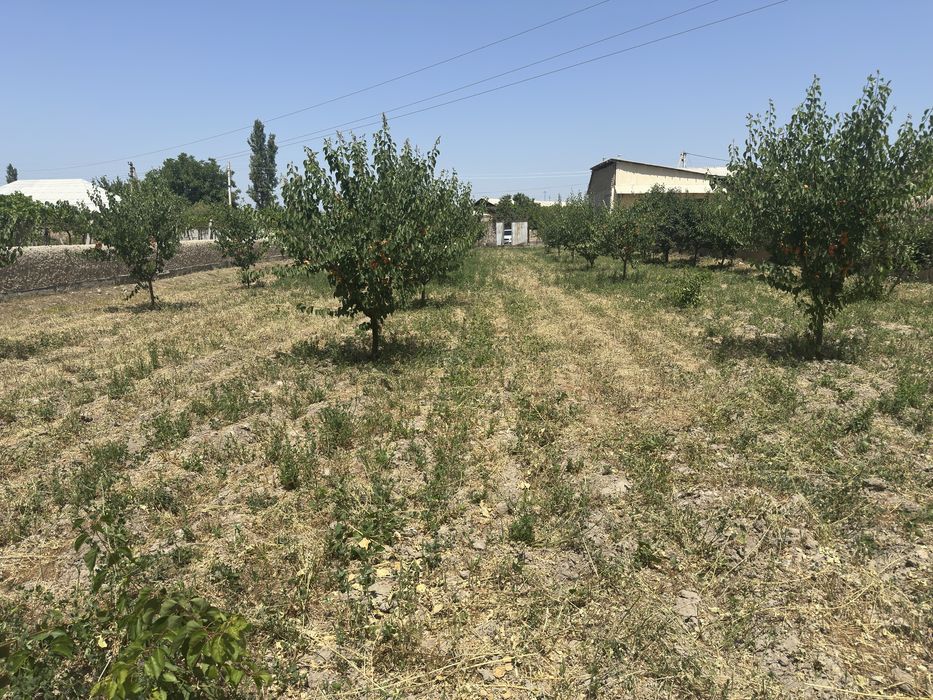 Yer uchastka(chek)sotiladi