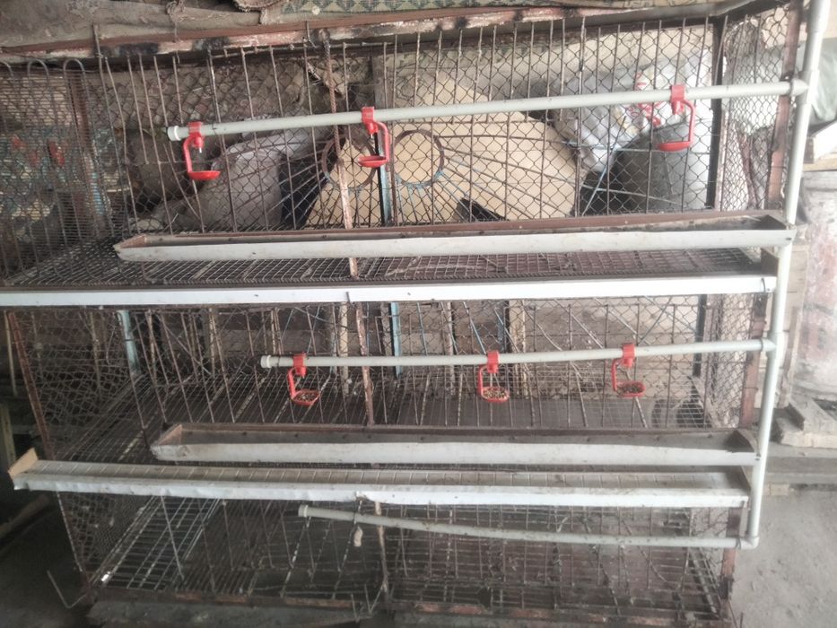 Сетка для куриц с поилкой