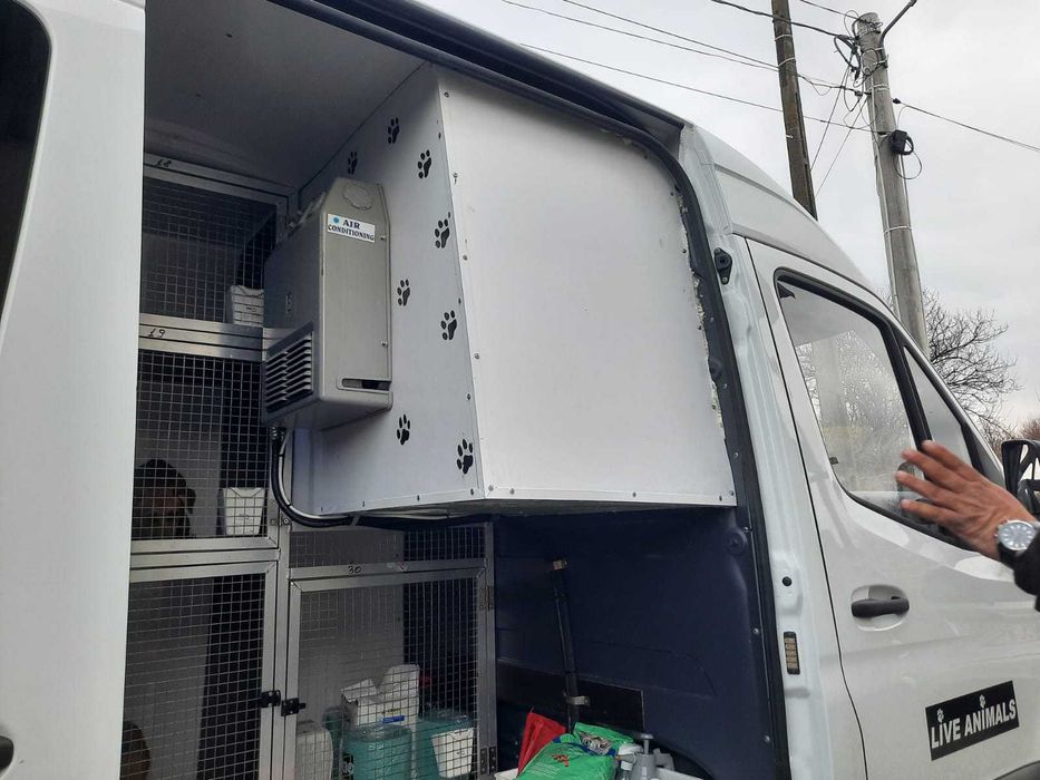 Mercedes sprinter