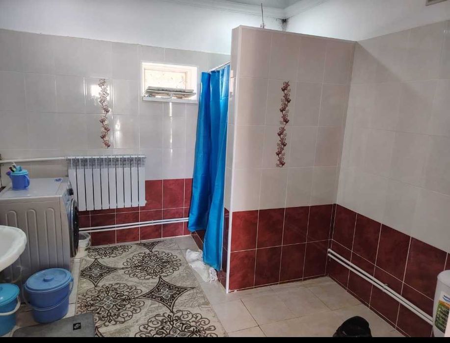 Үй жақсы таза ауласын да жеміс ағашы бар