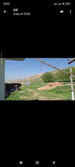 Bogishamol dahasi yer joy
