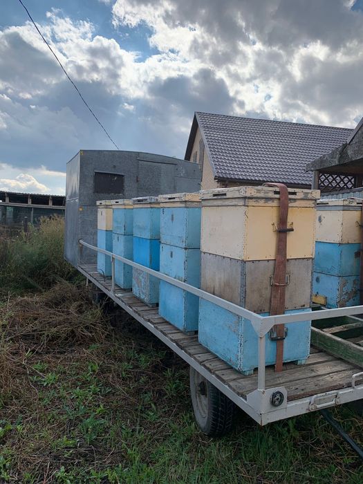 Прицеп для пчел с  ульями