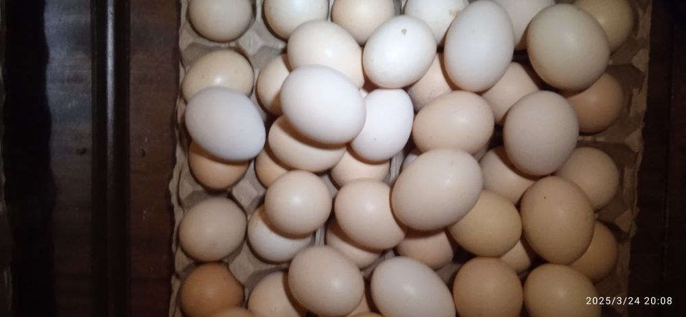 Жетісай қаласы Байзақов 4 үй