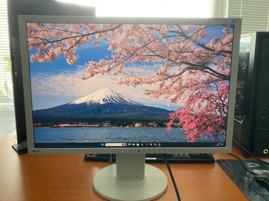 монитор EIZO FlexScan EV2436W